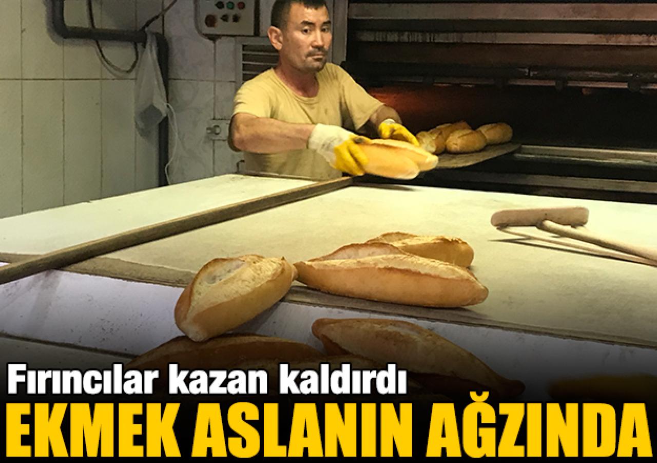 Ekmek aslanın ağzında