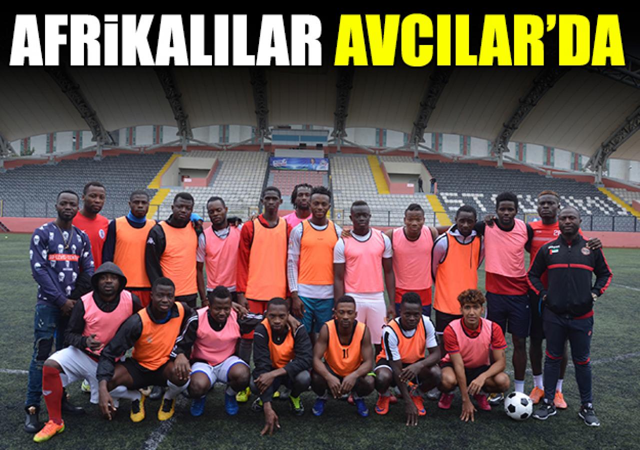 Afrikalılar Avcılar'da