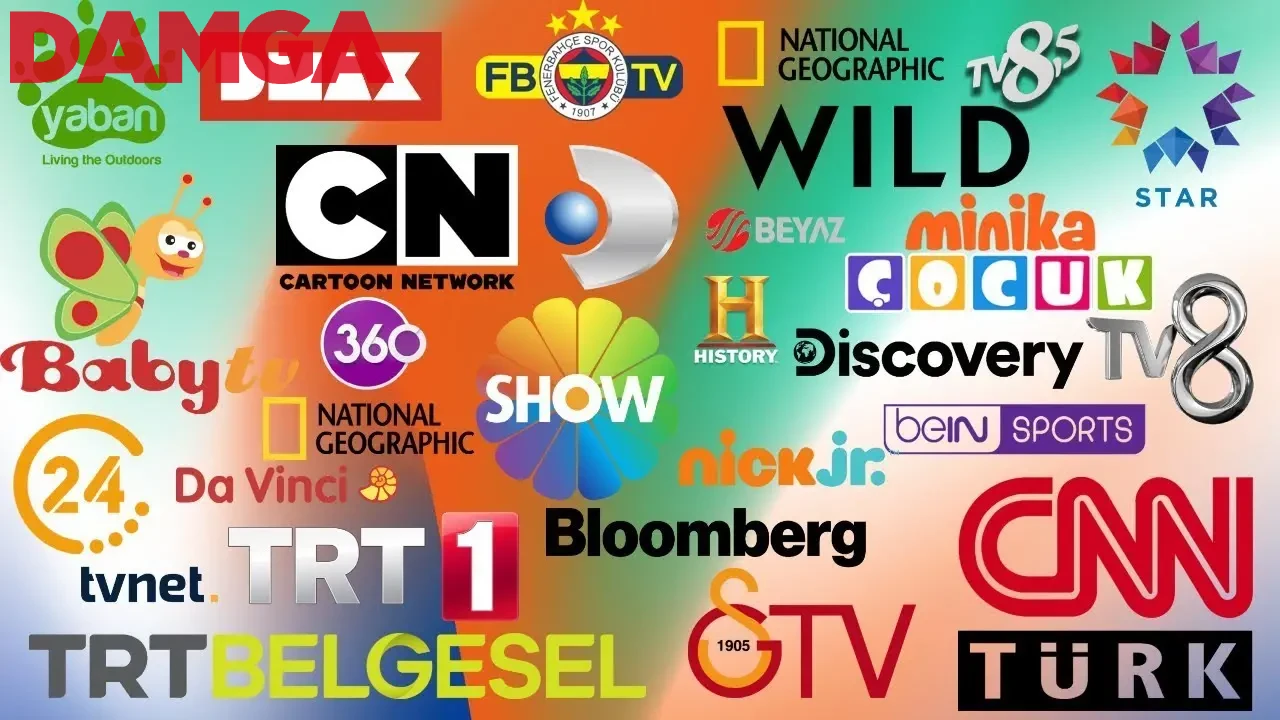 Bu Akşam TV'de Hangi Filmler ve Diziler Var? İşte Kanal D, Show TV, ATV, Star TV, TRT1 ve TV8 Yayın Akışı Listesi: 23 Kasım Cumartesi