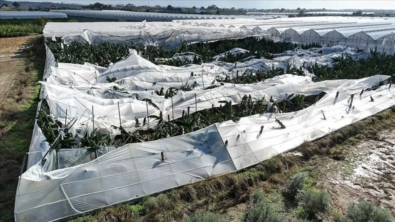 Manavgat’ta Muz Seraları Hortumla Tahrip Oldu!