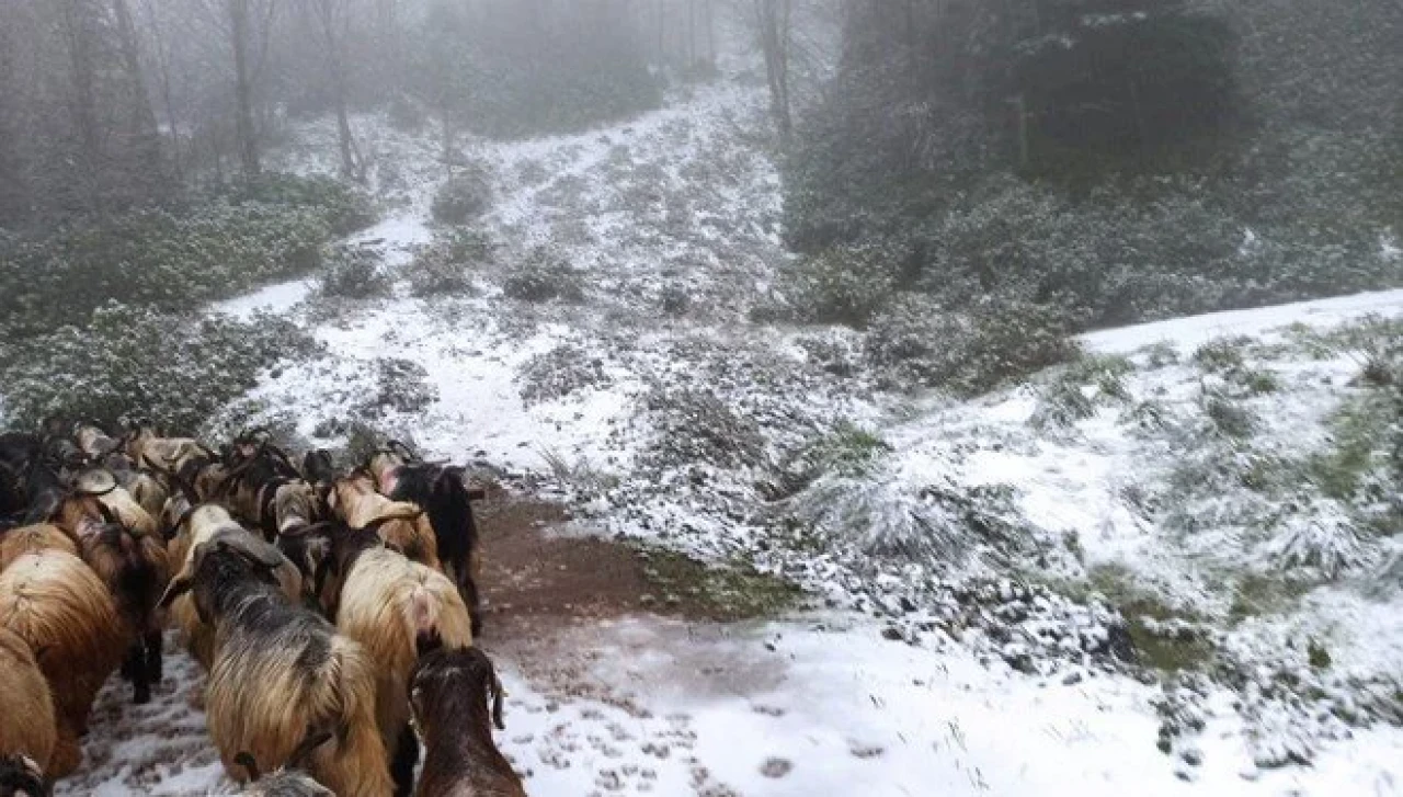 Sakarya’nın Hendek Dikmen Yaylası Beyaza Büründü!