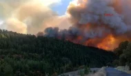 Balıkesir'e sıçrayan orman yangını kontrol altına alındı