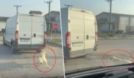 Köpeği minibüsün arkasına bağlayıp metrelerce sürüklediler!