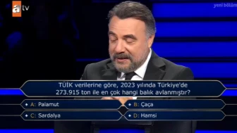 Türkiye’de 2023 Yılında En Çok Hangi Balık Avlandı?