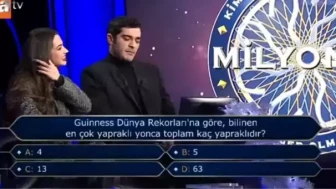 Guinness Dünya Rekorları'na Göre Bilinen En Çok Yapraklı Yonca Kaç Yapraklıdır?