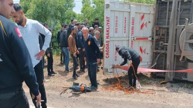 TIR devrildi, koyun ve keçiler telef oldu