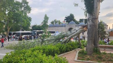 İstanbul'da turist rehberi ağacın altında kaldı