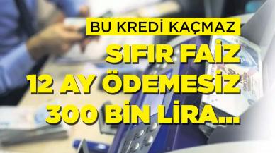 Bu kredi kaçmaz! Sıfır faizli, 12 ay ödemesiz, 300 bin lira