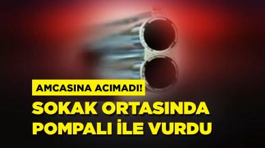 Sokak ortasında cinayet! Amcasını öldürdü