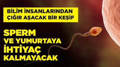 Çığır açıcı buluş: Yumurta ve sperm ihtiyacı ortadan kalkacak