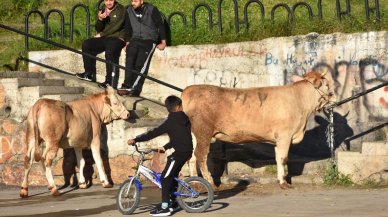 Kurban kesim yerlerinde büyük hareketlilik