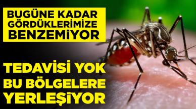 Uzmanı uyardı! Bugüne kadar gördüklerimize benzemiyor: Görülmeyen enfeksiyon hastalıklarını artırabilir