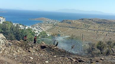 Bodrum'da 5 hektarlık alan yandı