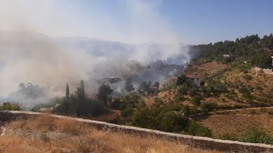 Kahramanmaraş'taki orman yangını evlere sıçradı