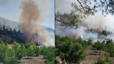 Kahramanmaraş'ta orman yangını