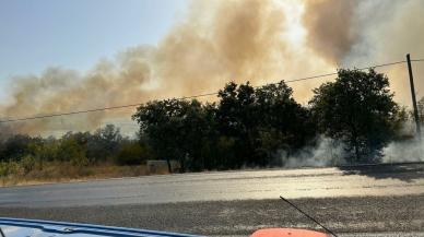 Çanakkale'de orman yangını: Havadan ve karadan müdahale ediliyor