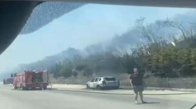 İzmir'de bir orman yangını daha çıktı