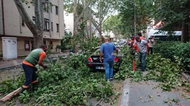 Şehri kuvvetli rüzgar vurdu: Ağaçlar devrildi, çatılar uçtu