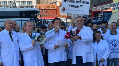 Veteriner hekimler iş bıraktı, taleplerini açıkladı