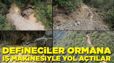 Defineciler yine iş başında: Ormana iş makinesiyle girip yol açtılar