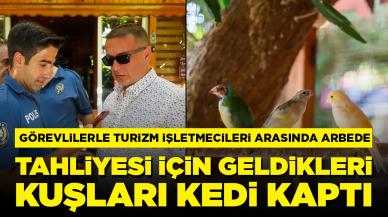 Görevlilerle turizm işletmecileri arasında arbede: Tahliyesi için geldikleri kuşları kedi yakaladı