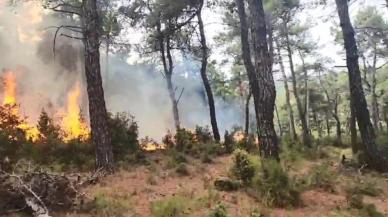 Çanakkale'de orman yangını: Havadan ve karadan müdahale ediliyor