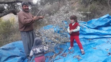 6 yaşındaki Yağmur feci şekilde can verdi: Elektrik kablosundan akıma kapıldı