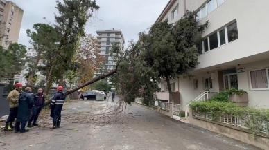 Ağaç binanın üzerine devrildi