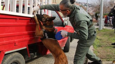 Narkotik köpeği Larissa kanserden öldü