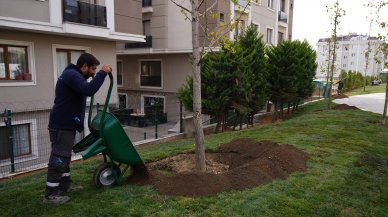 Beylikdüzü Belediyesi yeşil alan ve peyzaj çalışmalarını sürdürdü