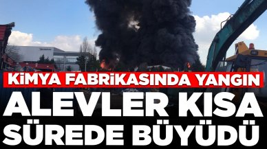 Kimya fabrikasında yangın: Alevler kısa sürede büyüdü