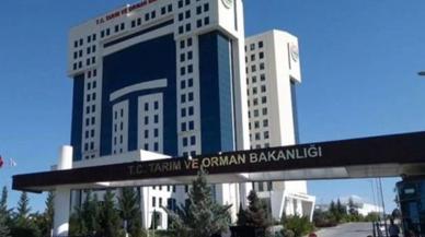 Tarım ve Orman Bakanlığı 1500 tarım işçisi alınacak