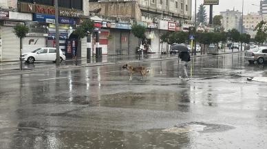 Valilik duyurdu: Sağanak nedeniyle o ilde de eğitime ara