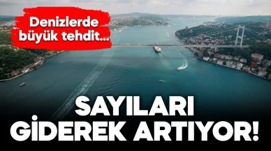 Denizler tehdit altında... Sayıları giderek artıyor!