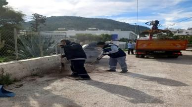 Bodrum'da çok sayıdaki kedi ve köpek öldürüldü