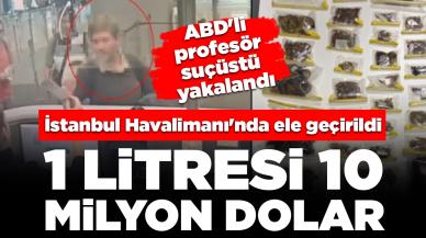 İstanbul Havalimanı'nda endemik hayvan operasyonu: Bin 500 adet akrep, tarantula, örümcek...