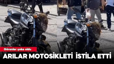 Fatih'te arılar motosikleti istila etti!