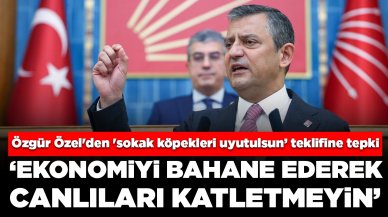 Özgür Özel'den 'sokak köpekleri uyutulsun’ teklifine tepki: 'Ekonomiyi bahane ederek canlıları katletmeyin'