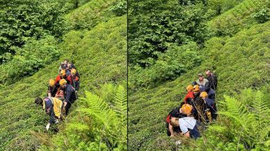 Rize'de feci ölüm: Kestiği ağaç sonu oldu