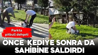 Parkta pitbull dehşeti! Önce kediye sonra da sahibine saldırdı