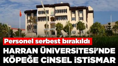 Mide bulandıran olay! Harran Üniversitesi'nde köpeğe cinsel istismarda bulunan personel serbest bırakıldı