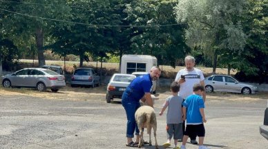 Kapalı pazar yerinde kurban kesimine izin verilmedi!