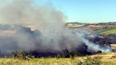 Tekirdağ'da yangında 200 dekar tarım alanı zarar gördü