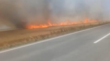 Tekirdağ'da 180 dönüm ekili buğday yandı!