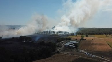 Bursa'da yangın! Üniversite kampüsüne de sıçradı