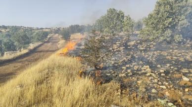 Mardin'de örtü yangını meydana geldi