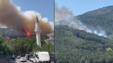 İstanbul'da orman yangını: Dumanlar birçok ilçeden görüldü, müdahale sürüyor