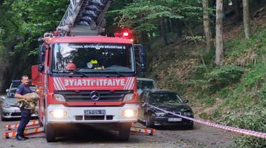 Sarıyer'de park halindeki 2 otomobilin üzerine ağaç devrildi