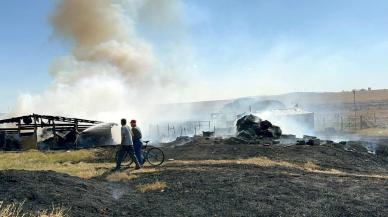 Tekirdağ'da 500 dönüm tarım arazisi küle döndü