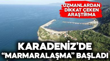 Uzmanlardan korkutan uyarı: "Karadeniz, Marmaralaşıyor"